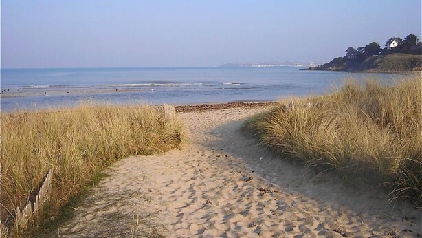A sandy beach path leading to the sea with tall grasses on either side. - Contemporary 3-bedroom house near the beach in Saint-Pair-sur-Mer (Saint-Pair-sur-Mer)