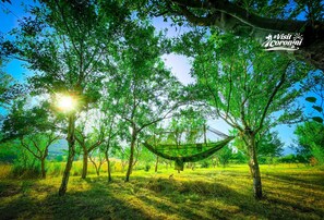 Exterior - Pensiunea Tarabostes Ranch (Moldova Noua)