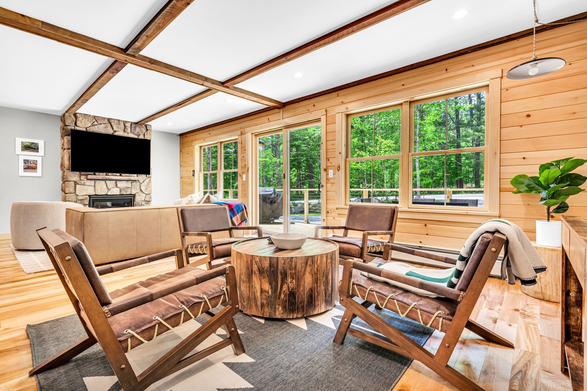 Smart TV, chimenea, videojuegos y reproductor de DVD 