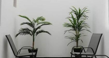 Hermosa suite "Tranvía"