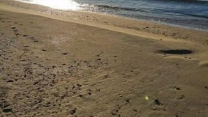 A beach with a clear sky and the sun reflecting on the water. - Duplex Avec Jardin, Piscine, Terrasse, 3 Chambres (Palavas-les-Flots)