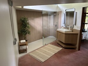Regadera, secadora de cabello, bidet, toallas 