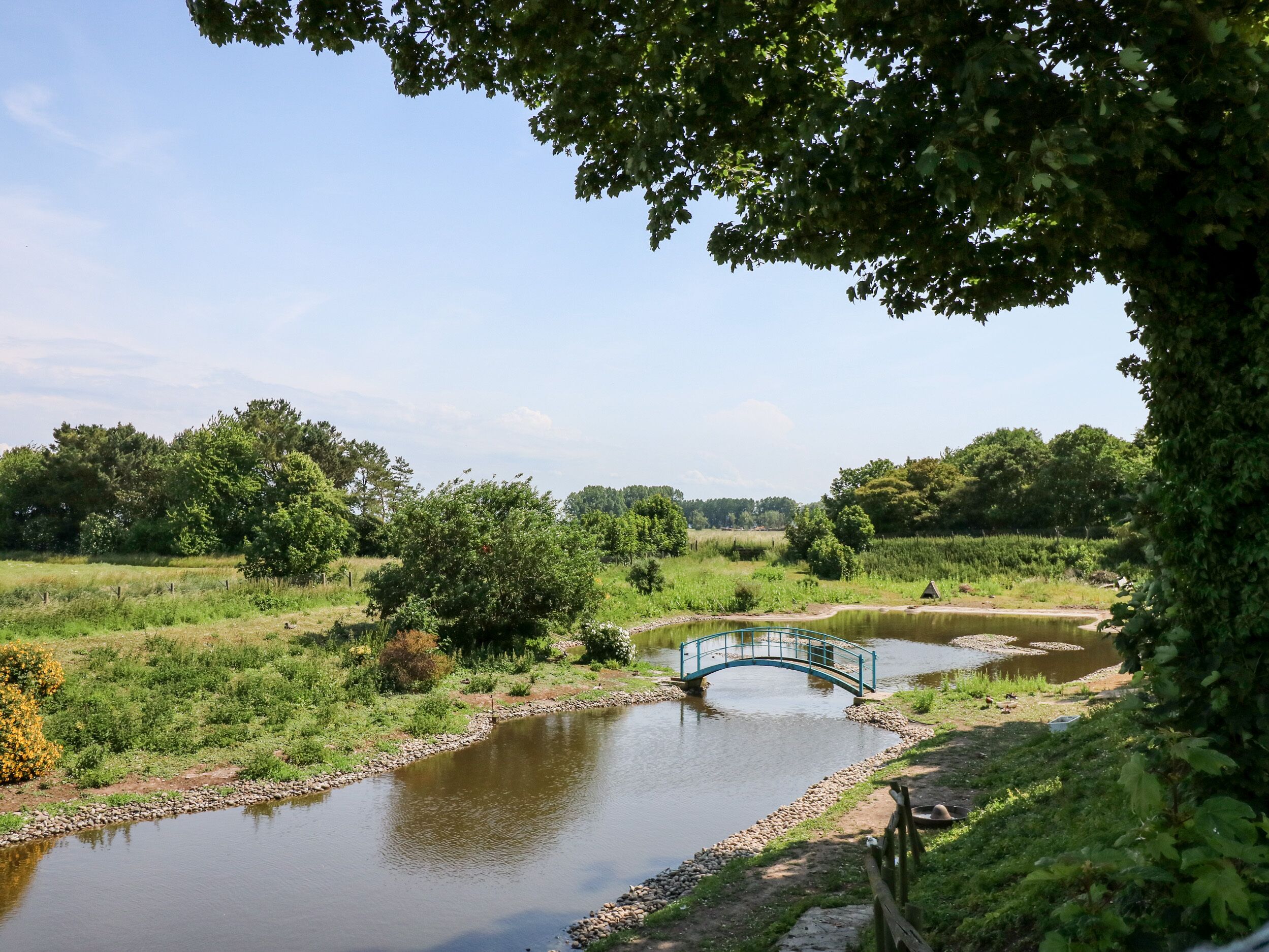 Ein Fluss mit einer kleinen Brücke, umgeben von Grün und Bäumen.