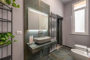 Regadera, secadora de cabello, bidet, toallas 