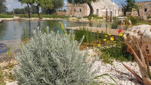 Un bâtiment en pierre avec un étang, entouré d’arbres et de plantes.