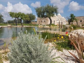 A stone building with a pond, surrounded by trees and plants.