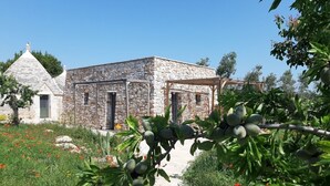 Un bâtiment en pierre, avec un chemin de jardin qui y mène, entouré de verdure et de plantes en fleurs.