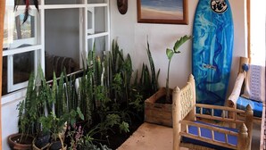 A wooden ceiling with a woven ceiling design, a dreamcatcher, a surfboard, and various potted plants. - Surf house Maroc (Essaouira)