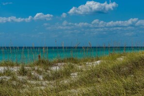 Ein Strand mit klarem türkisblauem Wasser, Sanddünen und spärlicher Vegetation.