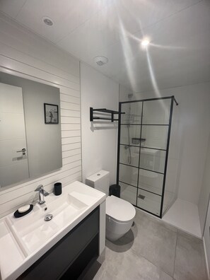 Shower, hair dryer, bidet, towels