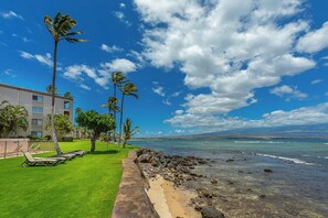 Un hotel frente a la playa con piscina, palmeras y vistas al océano.