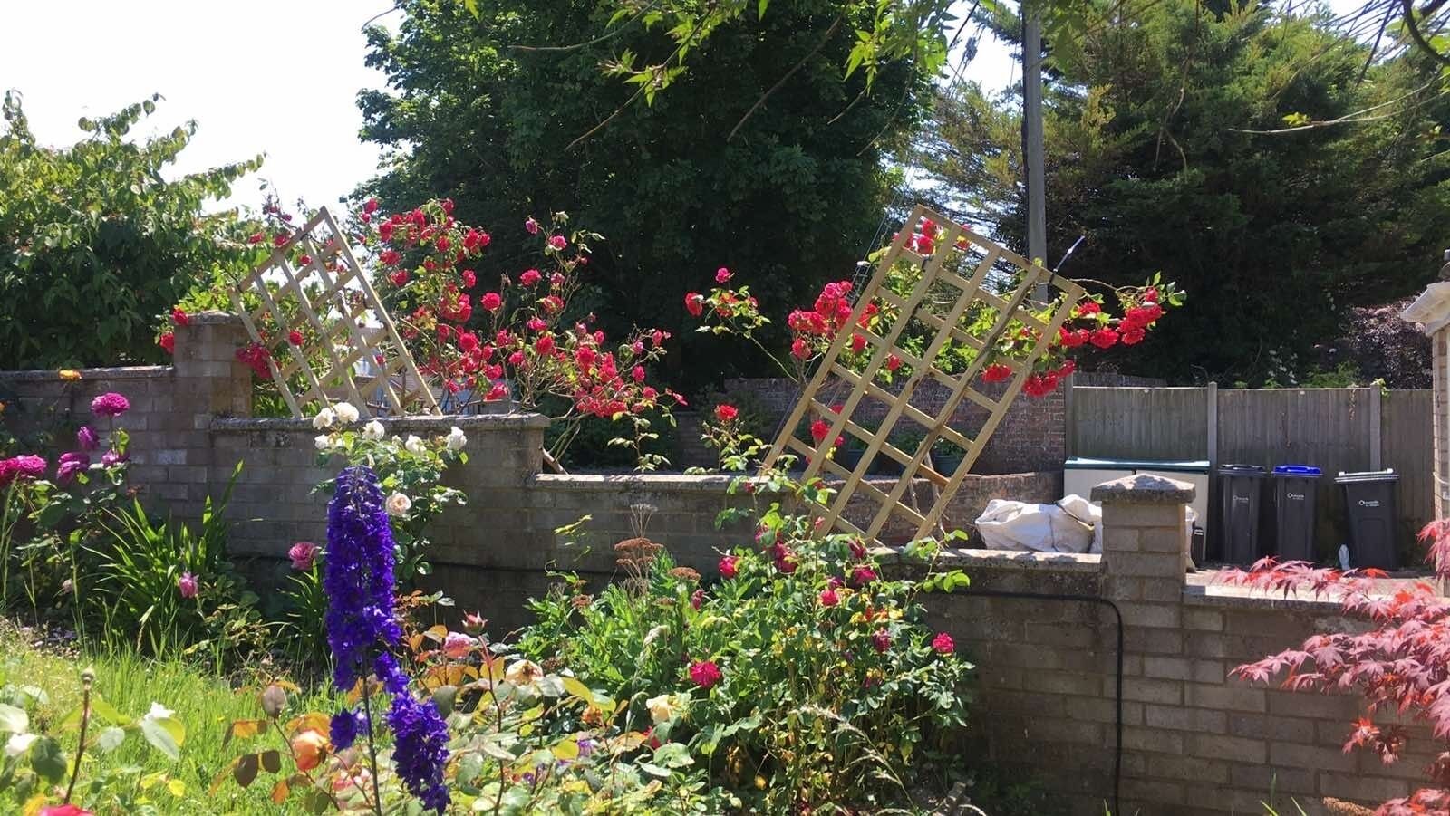 En trädgård med många olika sorters blommor och en spaljé av trä.
