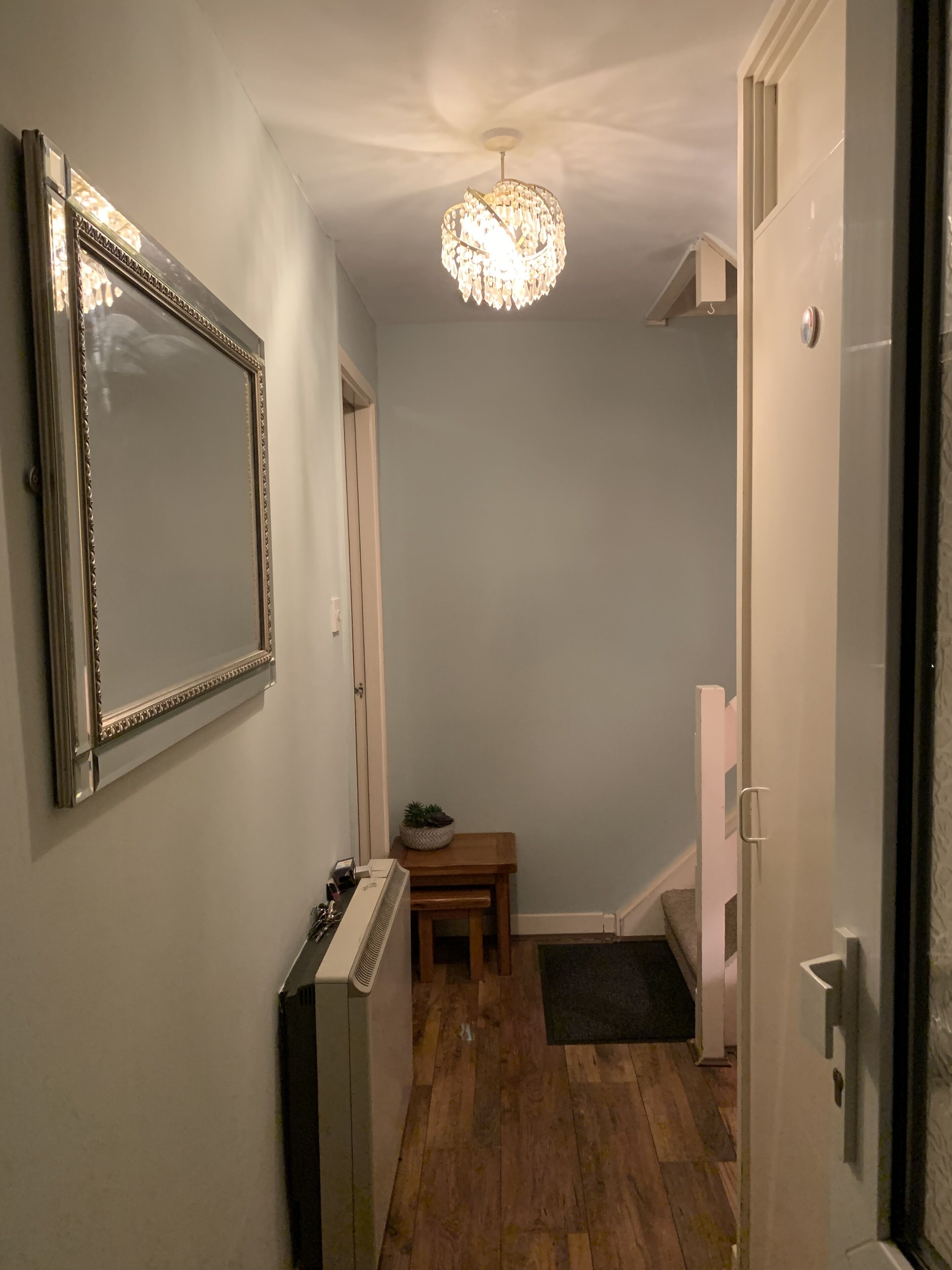 A narrow hallway with a large mirror, a radiator, a small table with a plant, and a chandelier.