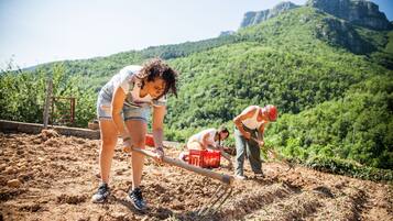 People working in a field with a mountainous backdrop.
