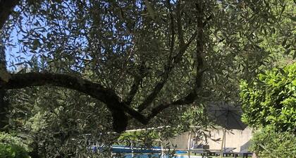 Villa pleine nature Ă 30 minutes de Nice