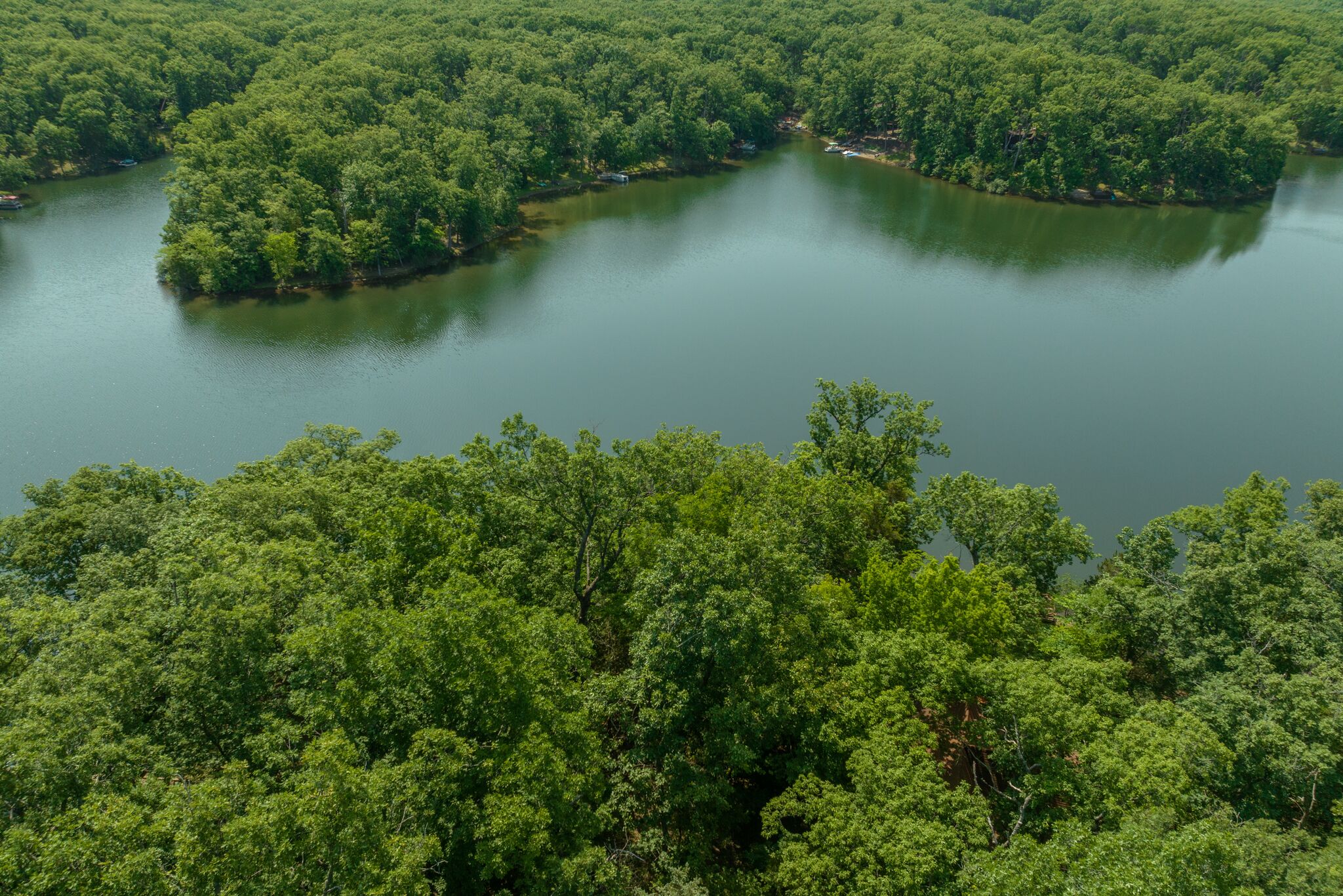 A dense forest surrounding a calm lake with no visible buildings or structures.