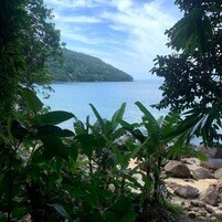 Una playa cerca, camas de playa gratis, sombrillas, 6 bares en la playa