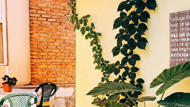Un patio con plantas en macetas, un muro de ladrillo y una mesa con sillas.