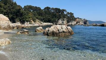Accommodatie ligt op het strand