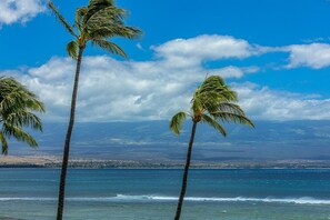 Condo, 2 Bedrooms | Beach | On the beach