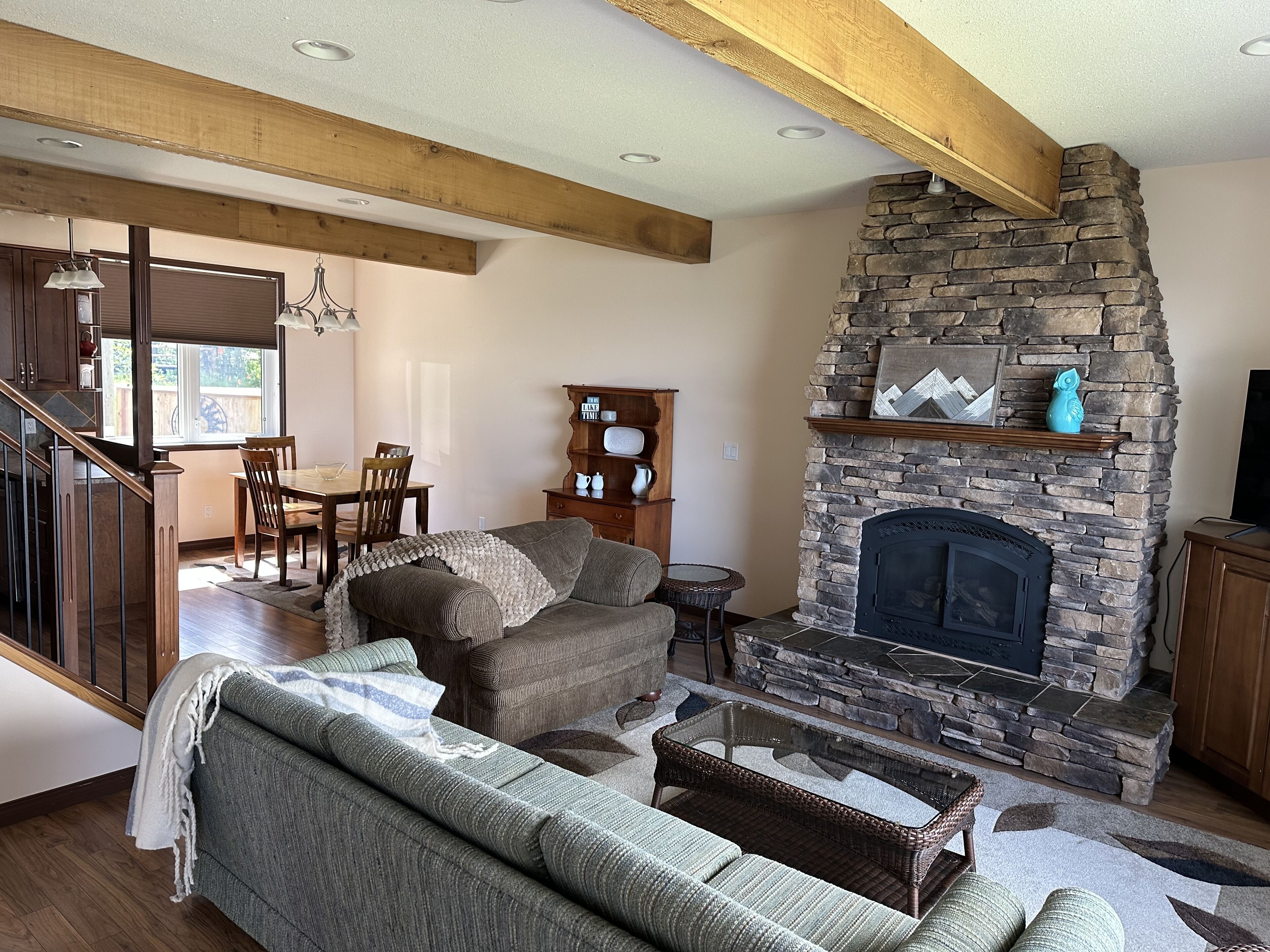 Smart TV, fireplace, books