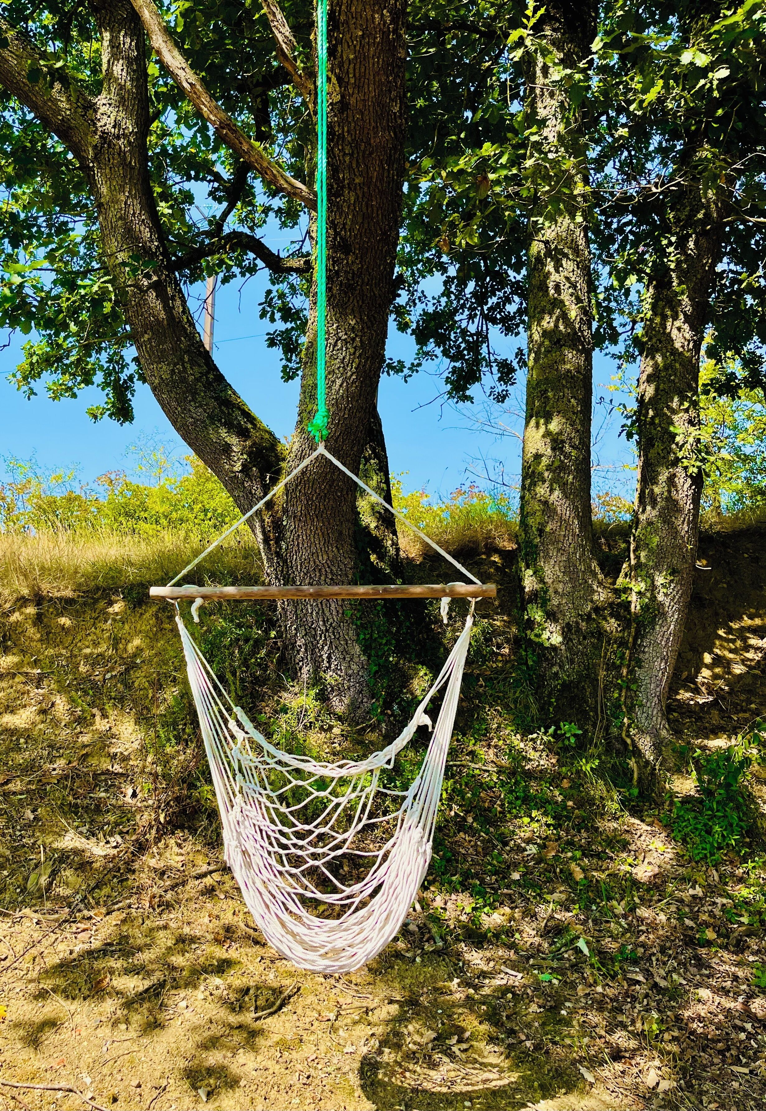 Un hamac suspendu entre des arbres, dans un cadre naturel.