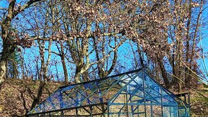 A glass-roofed pavilion with a metal frame, surrounded by grass and trees.