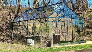 Área da propriedade