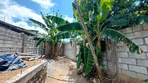A construction site with concrete walls, a dirt ground, and banana plants. - Lovely 1 bedroom, 2 Guest +, holiday rentals in St Thomas Jamaica  (Port Morant)