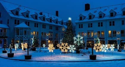 The Valley Estate - Ice Arena - Biking - Weddings - Walk to Town Square!