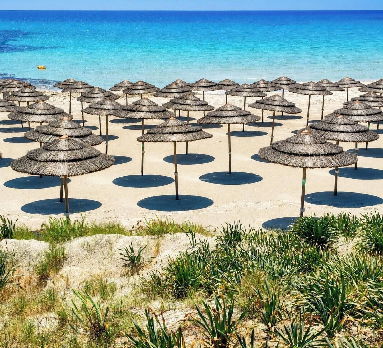 A beach with multiple thatched umbrellas arranged in rows.