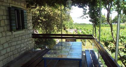 Lidija - Robinson House - H