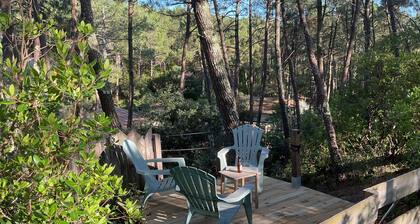 ParenthĂšse dans les pins all inclusive and yoga spot