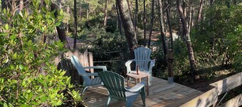 Sweet moment in the pines