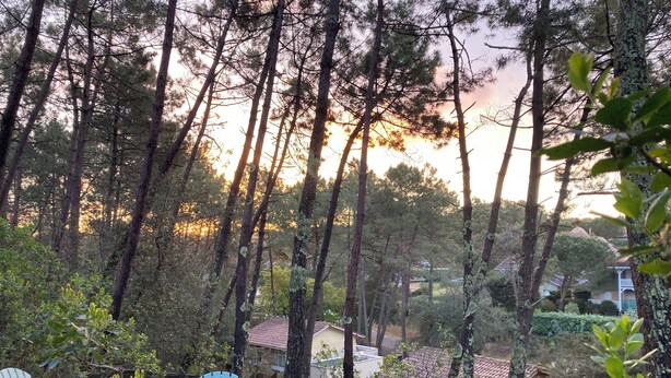 A deck with two blue chairs overlooking a forested area with houses in the background. - Sweet moment in the pines  (Lacanau)