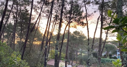 Sweet moment in the pines