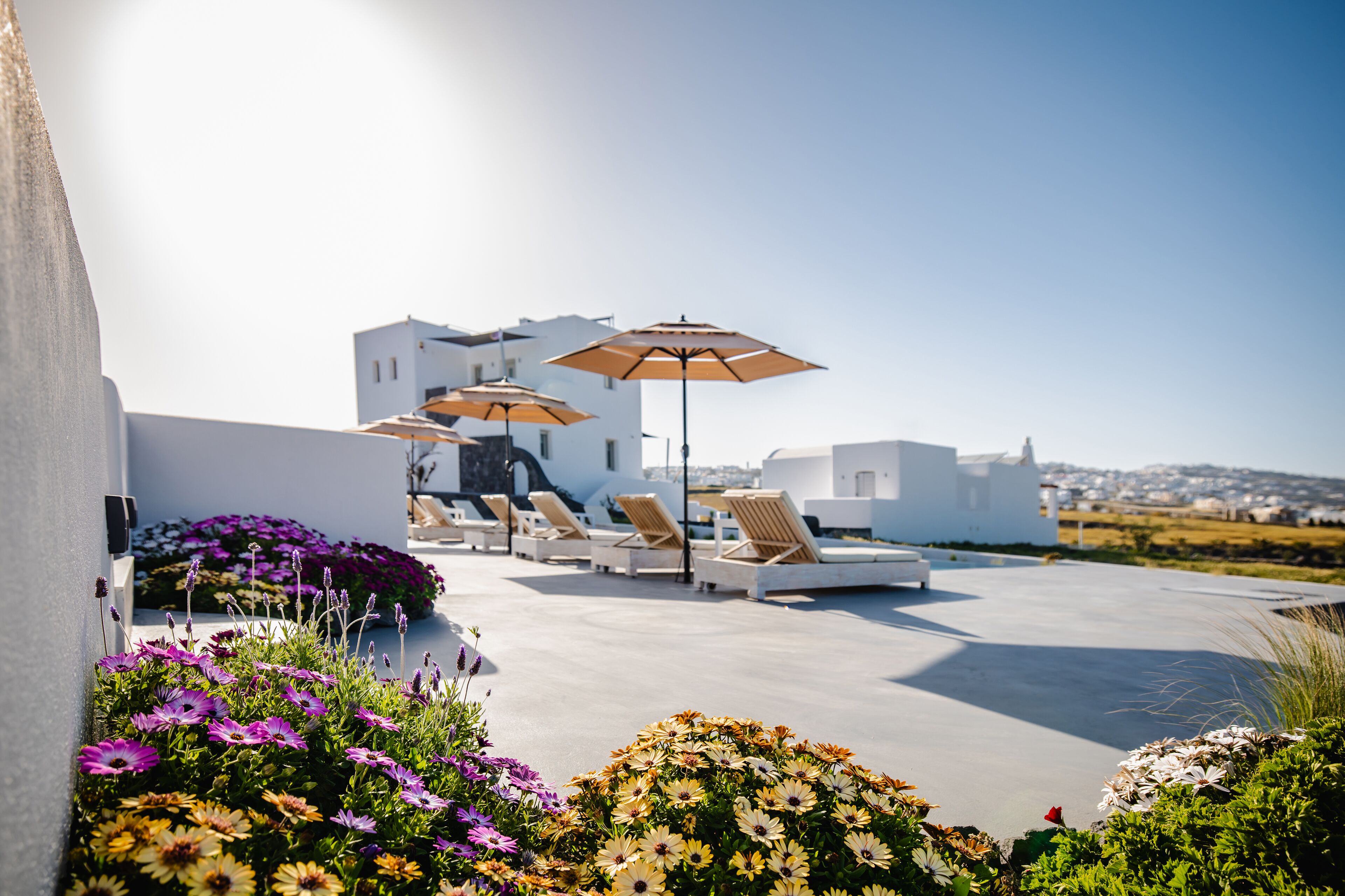 Foto - Bonsai Luxury Suites