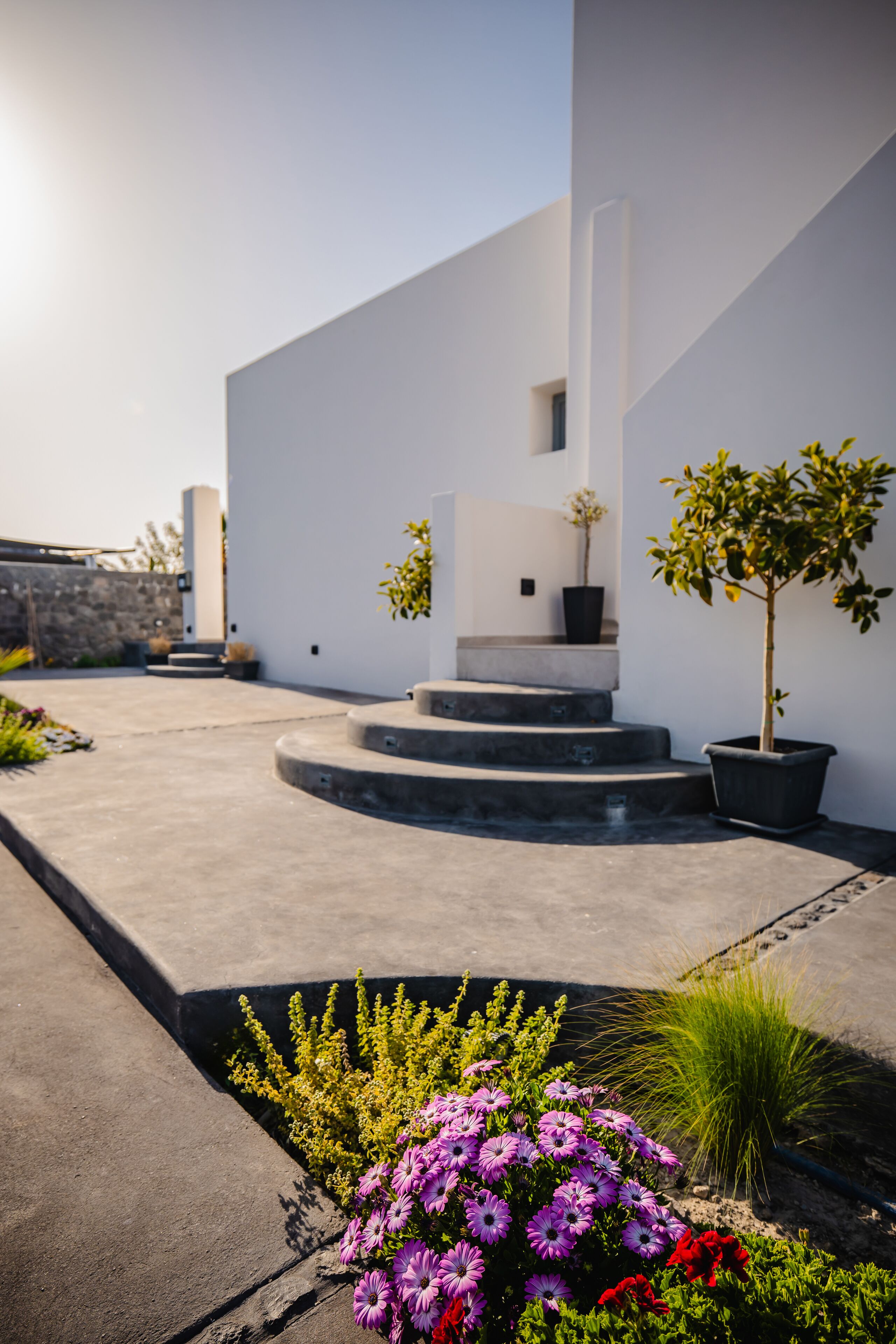 Foto - Bonsai Luxury Suites