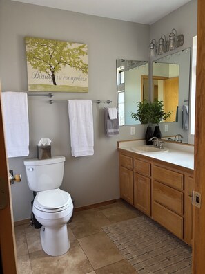 Shower, hair dryer, towels, soap - Mountain View Townhome in Frisco, CO w/ easy walk to Main Street & Lake Dillon (Frisco)