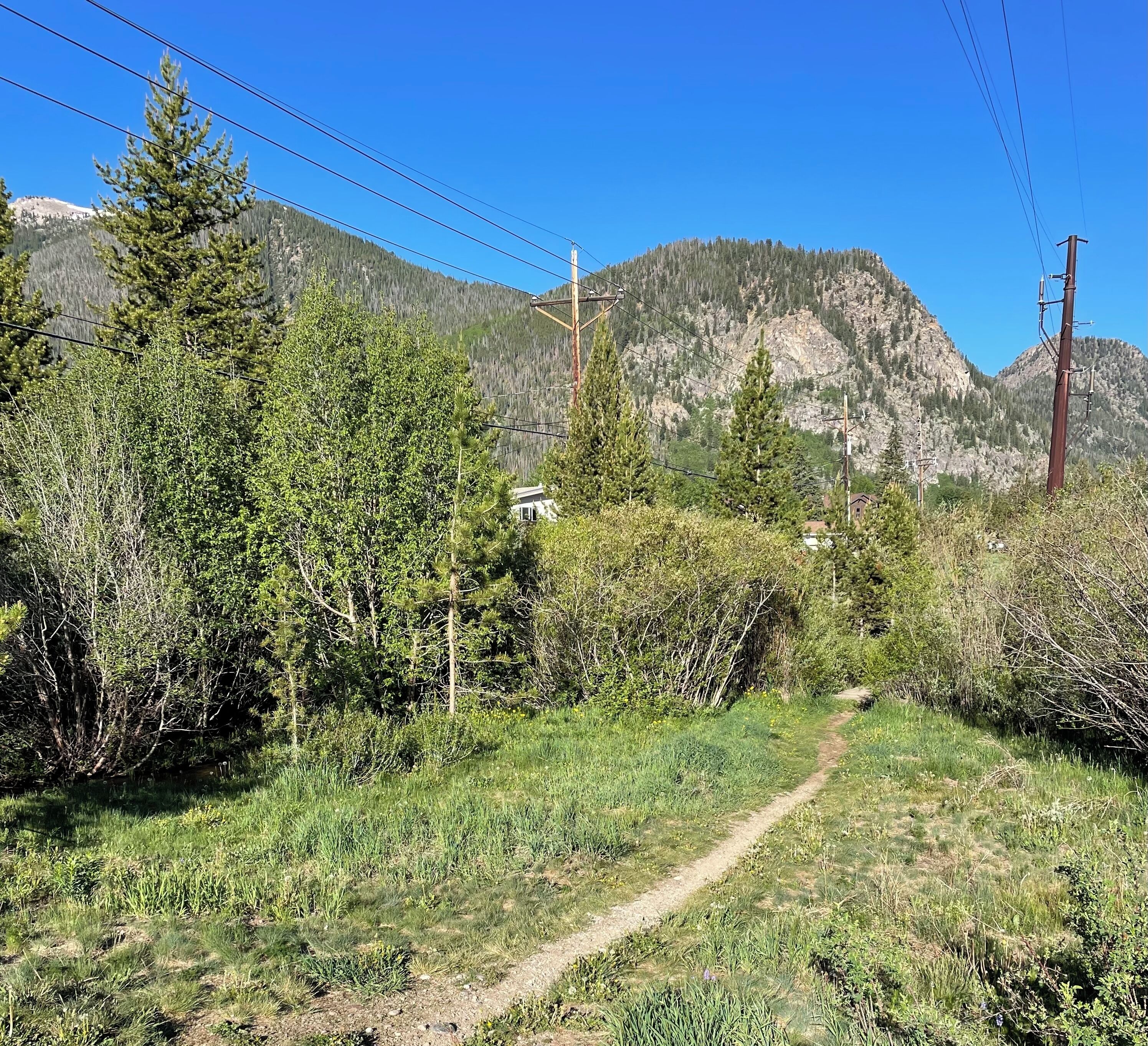 Un paysage rural avec un chemin de terre, une végétation luxuriante et des montagnes en arrière-plan.