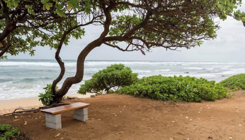 Kauai Beach Villas Resort- Kapaa Kauai, Hawaii - 1 Bd Suite - Photo 15