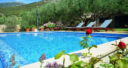 Vojo - Private Swimming Pool - H