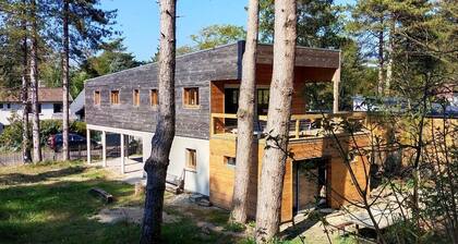 The datcha in the trees, modernist villa