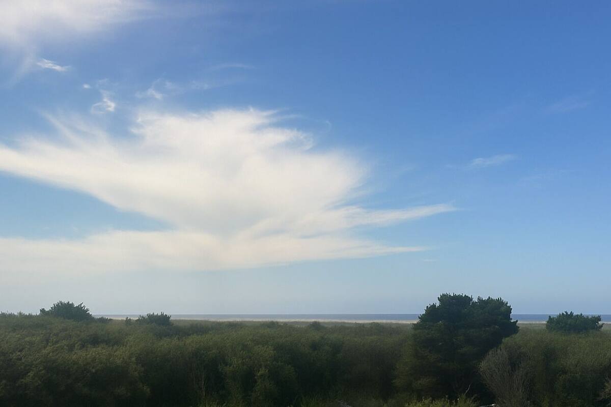 A coastal landscape with dense vegetation and a clear sky.