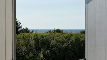 Chambre, 1 très grand lit et 1 canapé-lit, accessible aux personnes à mobilité réduite | Vue sur la plage/l’océan