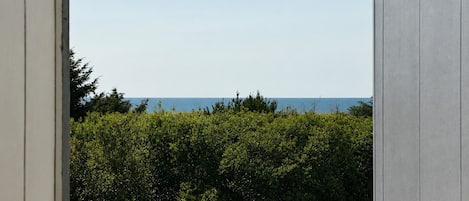 Room, 1 King Bed with Sofa bed, Mobility Accessible, Partial Ocean View | Beach/ocean view