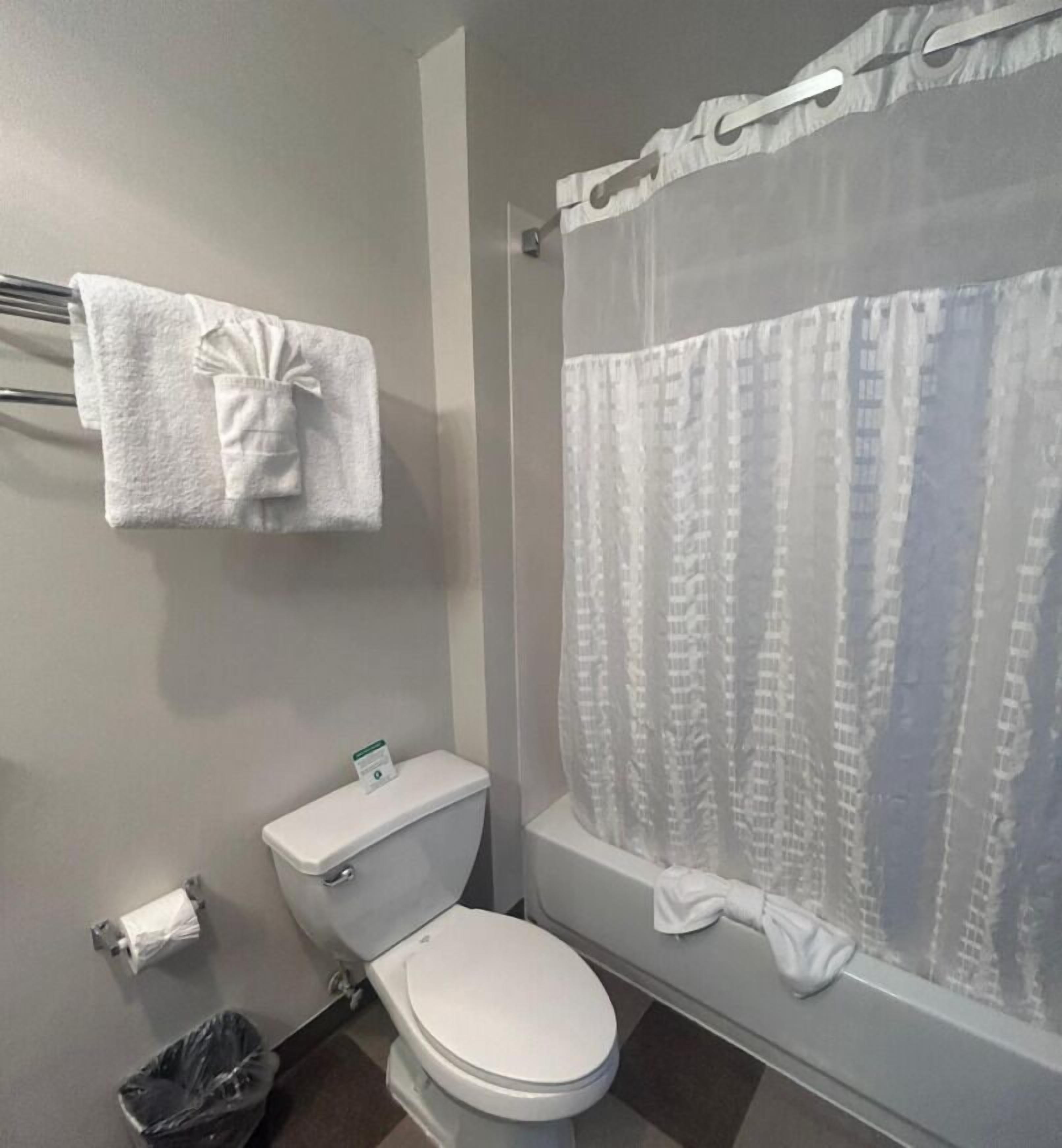 A bathroom with a toilet, a shower curtain, a towel rack with a towel, and a trash bin.