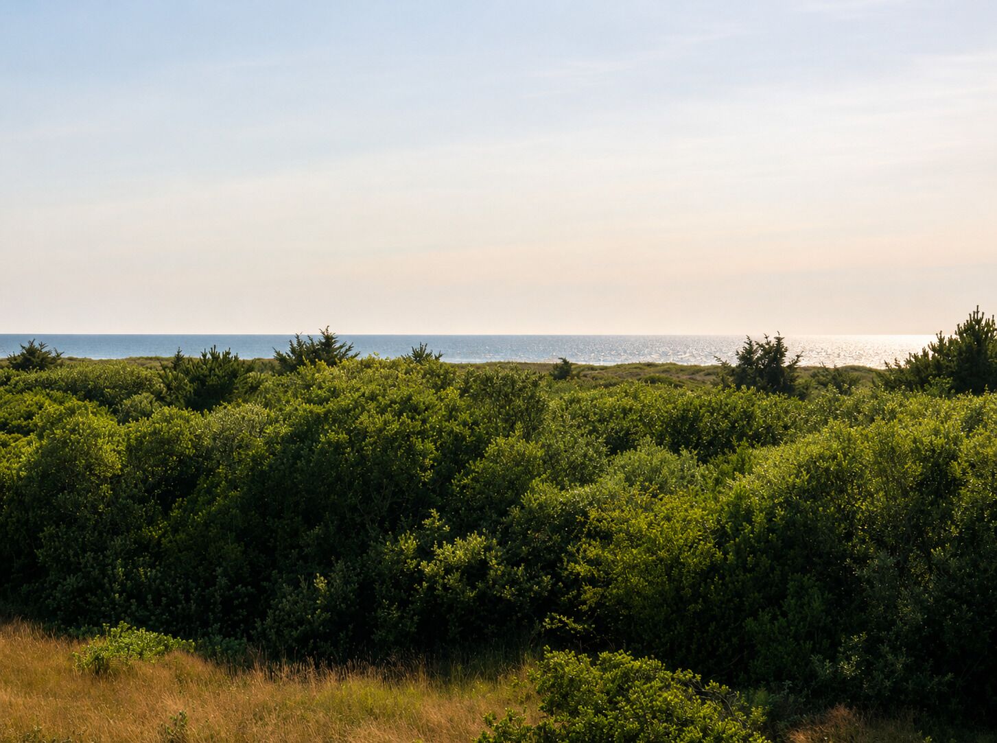 Beach/ocean view