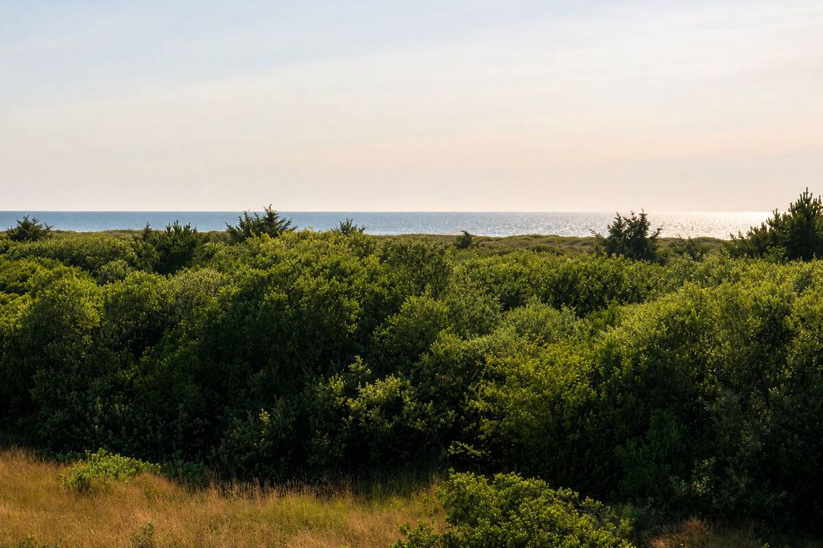 Beach/ocean view