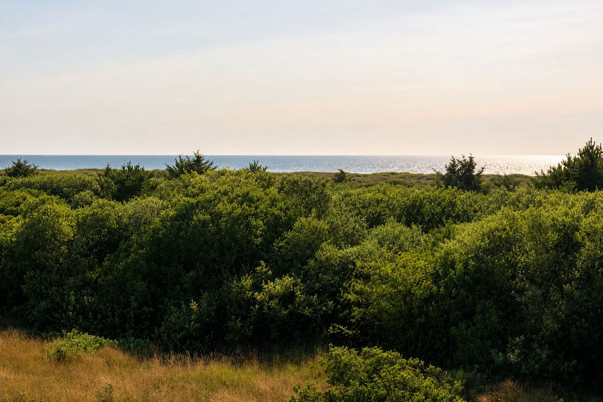 Strand-/Meerblick